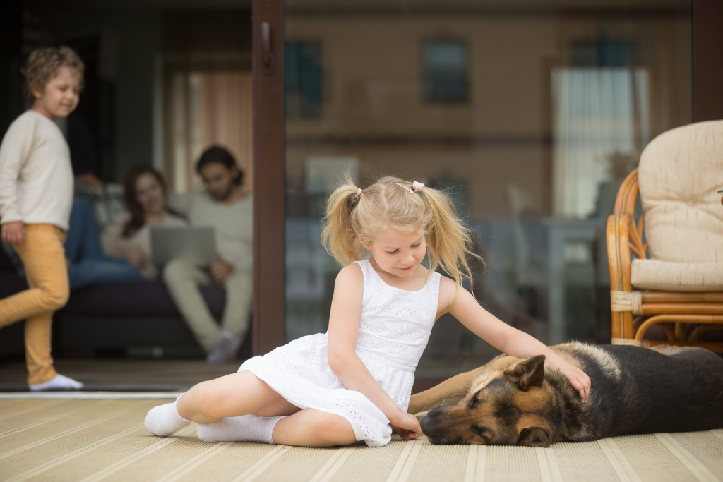 kid playing with dog