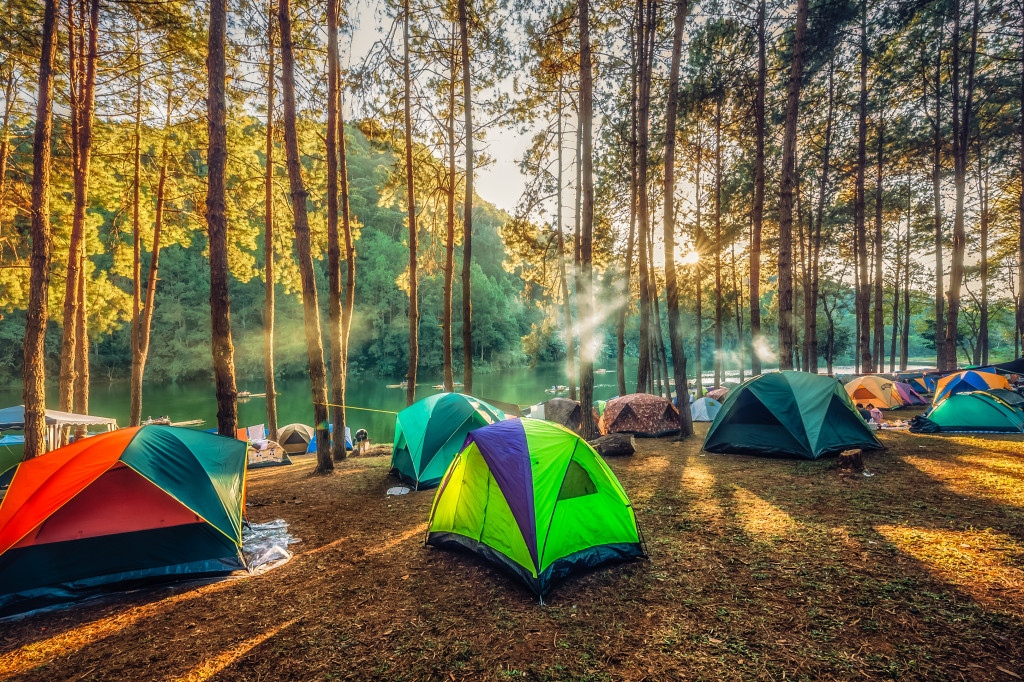 camping in nature