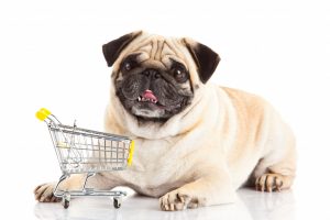 dog next to a cart