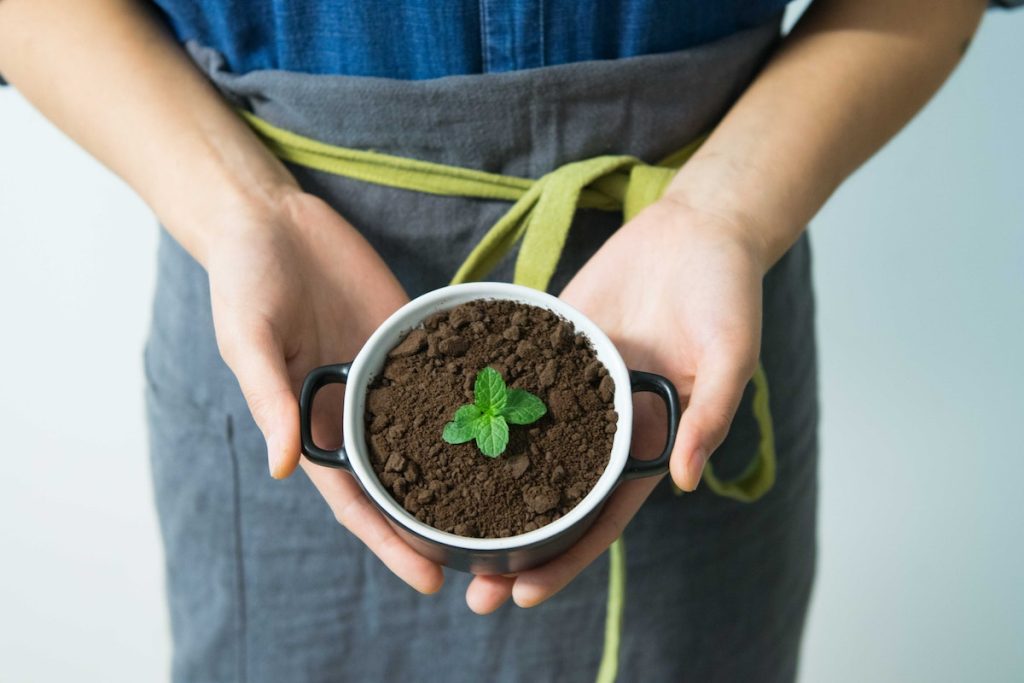 Person Holding Cup With Green Plant